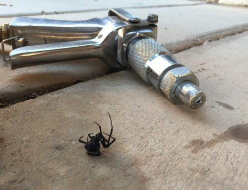 Gilbert AZ Black Widow and Spider Pest Control and Exterminator